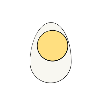 Free Egg Egg Shell illustration and picture