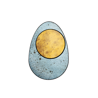 Free Egg Egg Shell illustration and picture