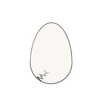 Free Egg Egg Shell illustration and picture
