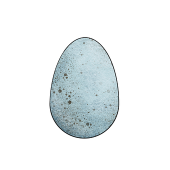 Free Egg Egg Shell illustration and picture