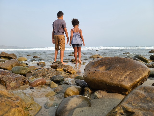 Free Brother Sister Beach photo and picture