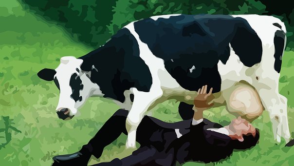Free Cow Human photo and picture