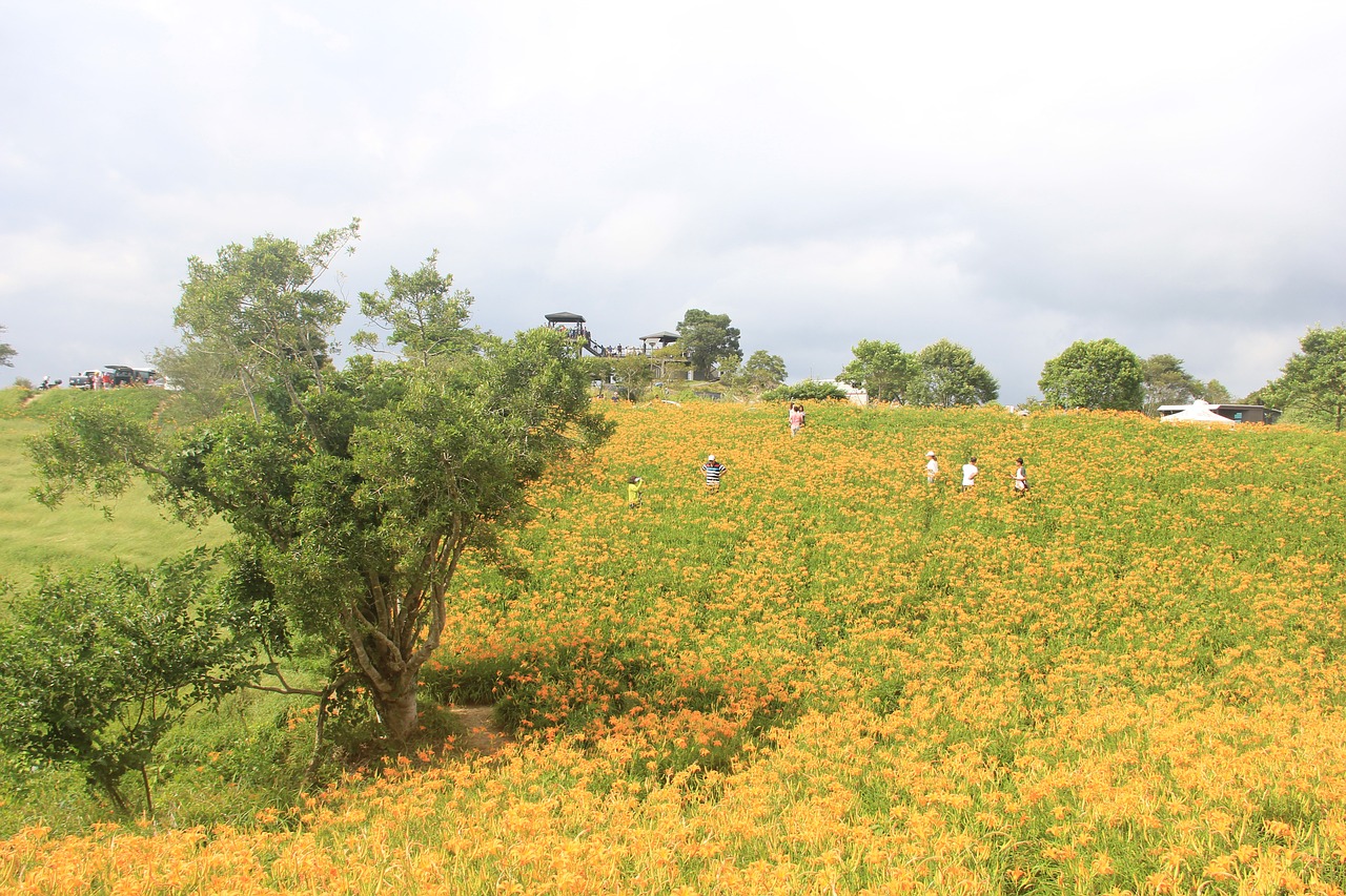 The Hidden Power of Flowers in Flower Sea Unearthed Now