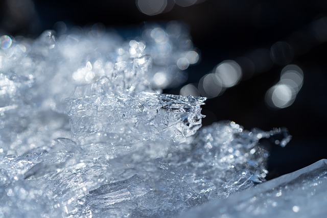 Free Ice Frozen photo and picture
