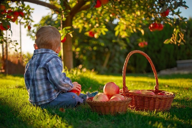 Free Baby Basket photo and picture