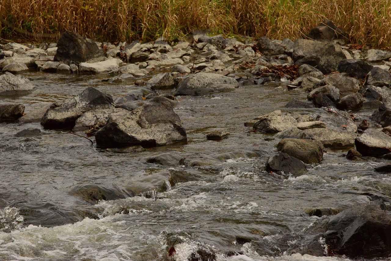 Brook Stream River - Free photo on Pixabay - Pixabay