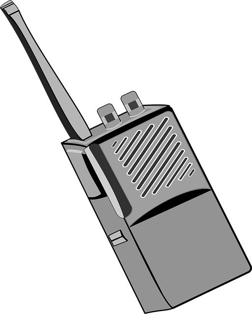 Radio, Kommunikation, Stimme