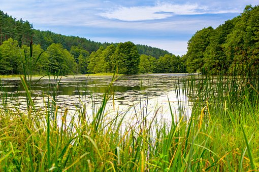Free Lake Nature photo and picture