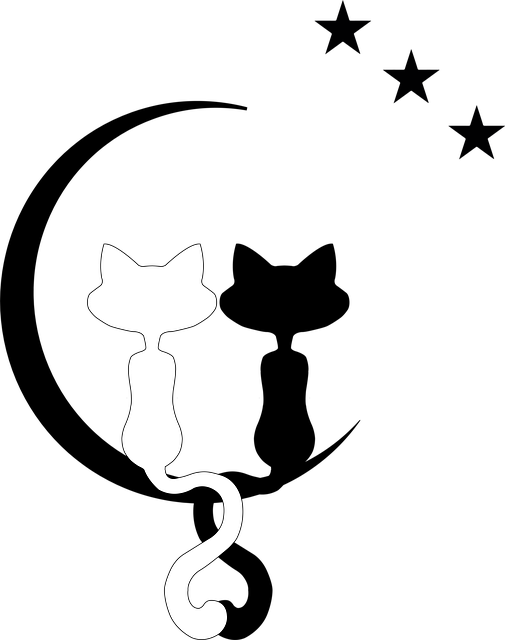 Free cats felines couple illustration