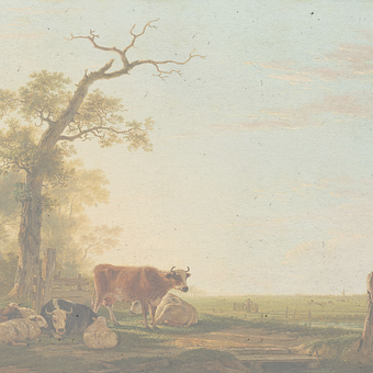 Landschap, Natuur, Zonsondergang, Kalm