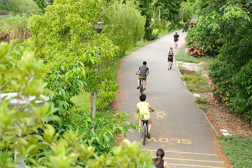 Free Park Cycling photo and picture