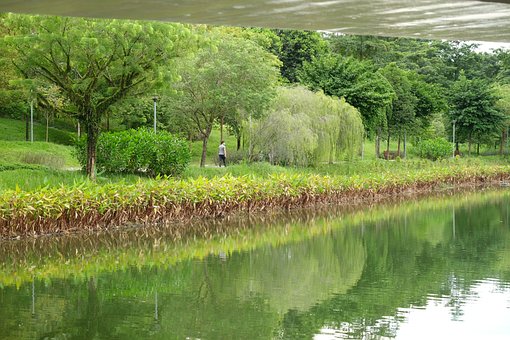 Free Landscape Man With Mask In Park photo and picture