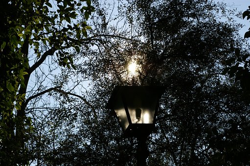 Free Light Garden photo and picture