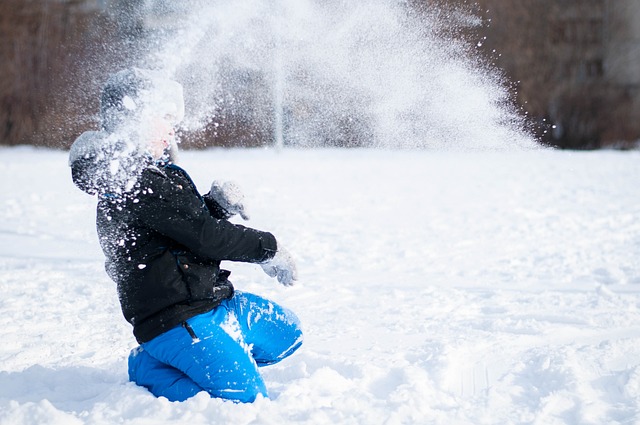 Free Winter Snow photo and picture