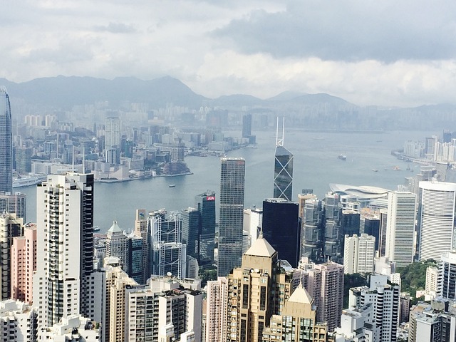 Free City Skyscraper photo and picture