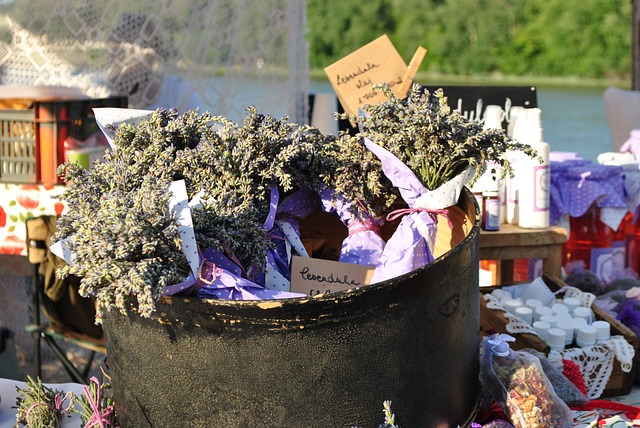 Free Lavender Summer photo and picture