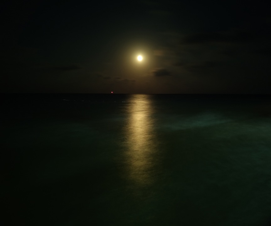 Lua Mar Noite - Foto gratuita no Pixabay - Pixabay