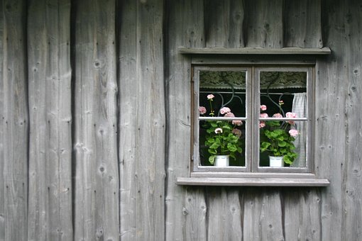Free Window Geranium photo and picture