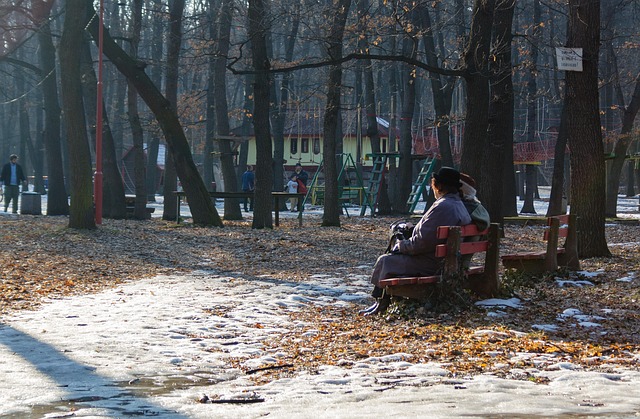 Free Park Winter photo and picture