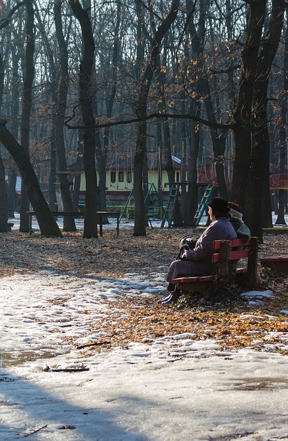 Free Park Winter photo and picture