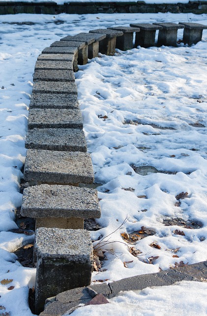 Free Park Path photo and picture