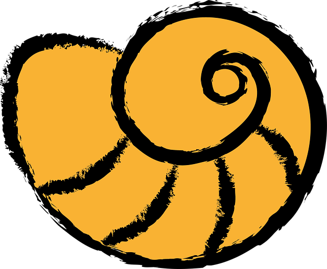 Snail, Konkylie, Snegle, Bløddyr, Spiral