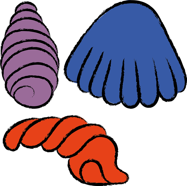 Snail, Konkylie, Snegle, Bløddyr