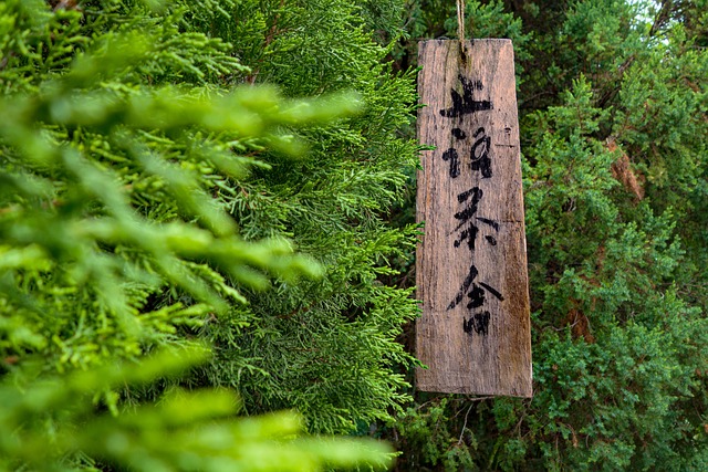 Free Tea House Green Plants photo and picture