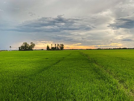 Free Landscape Vietnam photo and picture