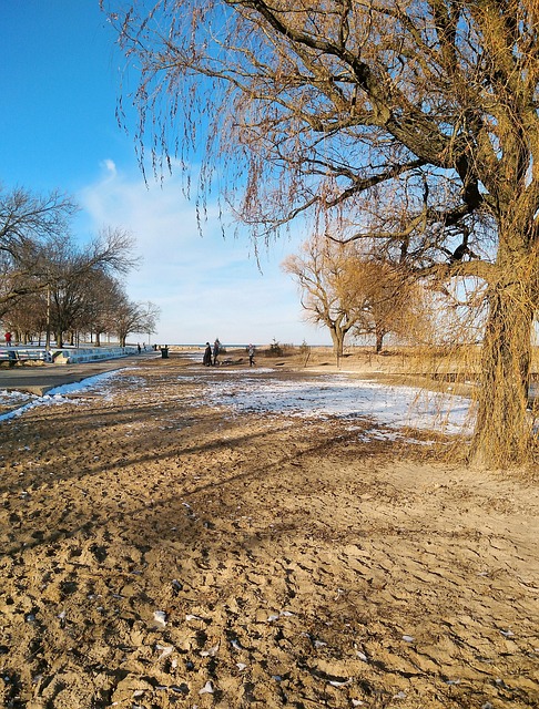 Free Winter Beach photo and picture