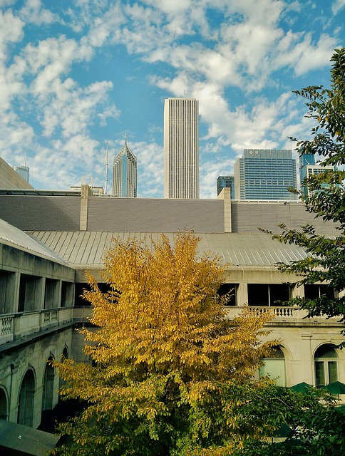 Free Skyscraper Chicago photo and picture