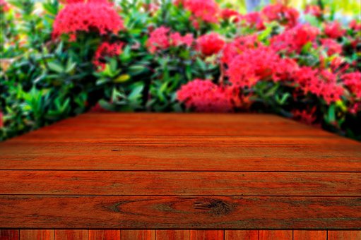 Free Table Flowers photo and picture