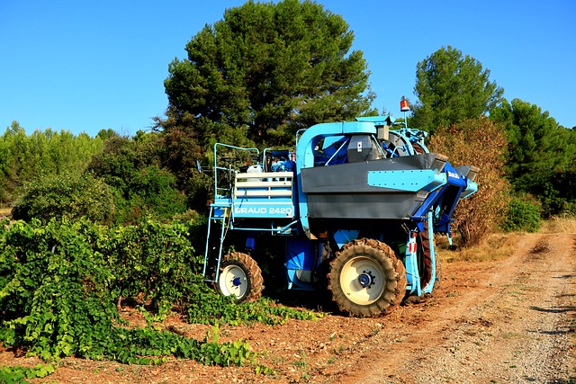 Grape Harvester Vintage - Free photo on Pixabay - Pixabay