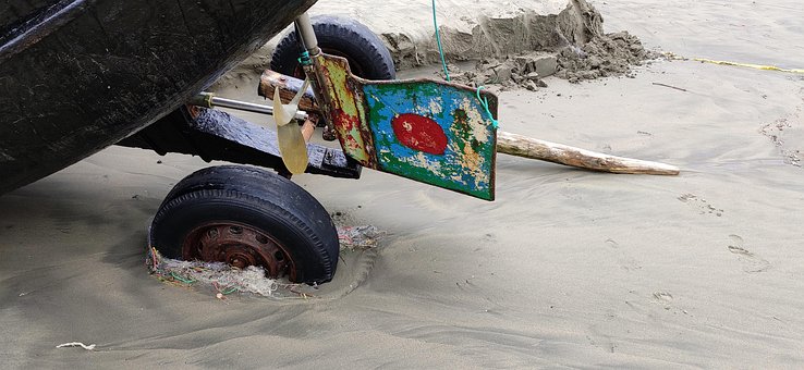 Free Grass At Cox'S Bazar photo and picture