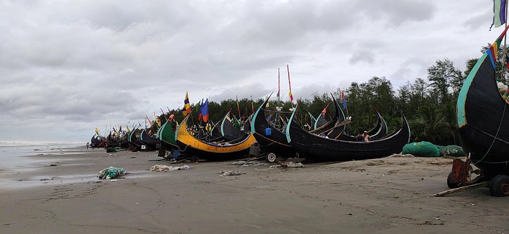 Free Grass At Cox'S Bazar photo and picture