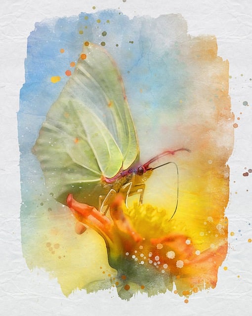Free butterfly flower pollination illustration