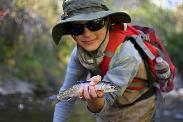 Truta, Pescaria, Pesca Com Mosca, Peixe