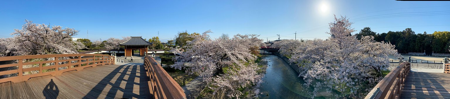 Free Japan Oguchi photo and picture