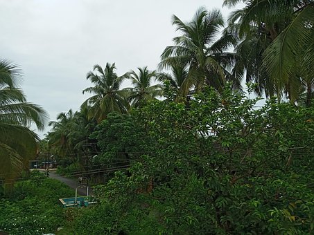 Free Indian Landscapes photo and picture