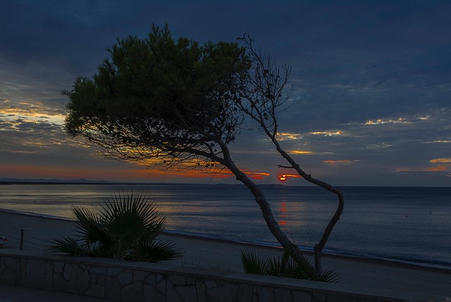 Free Sunrise Beach photo and picture