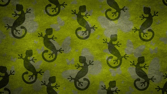 Free salamander lizard gecko illustration