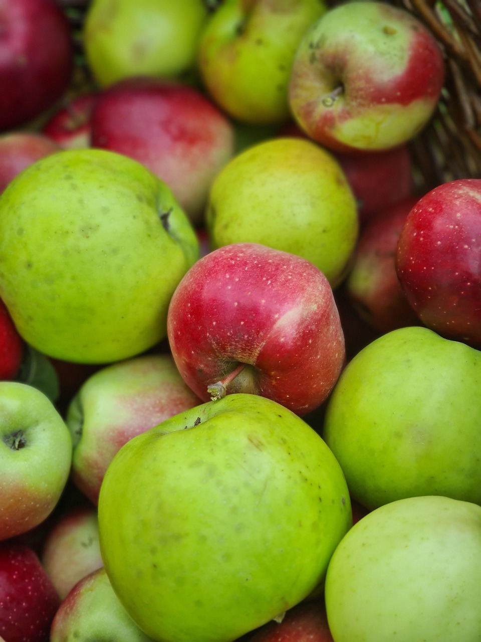 Äpfel Früchte Lebensmittel Grüne - Kostenloses Foto auf Pixabay - Pixabay