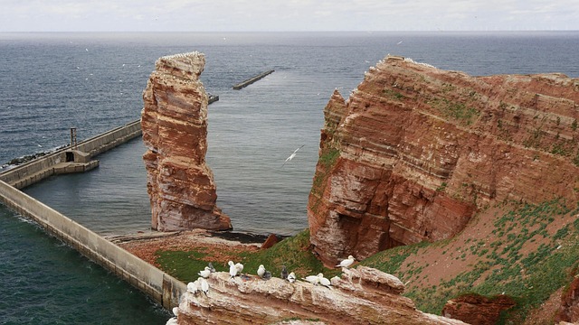 Free Helgoland North Sea photo and picture