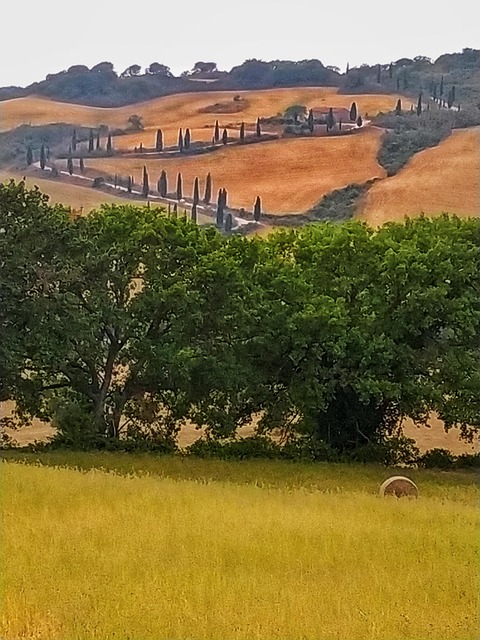 Free Val D'Orcia Tuscany photo and picture