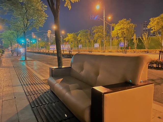 Free Sofa Tree photo and picture