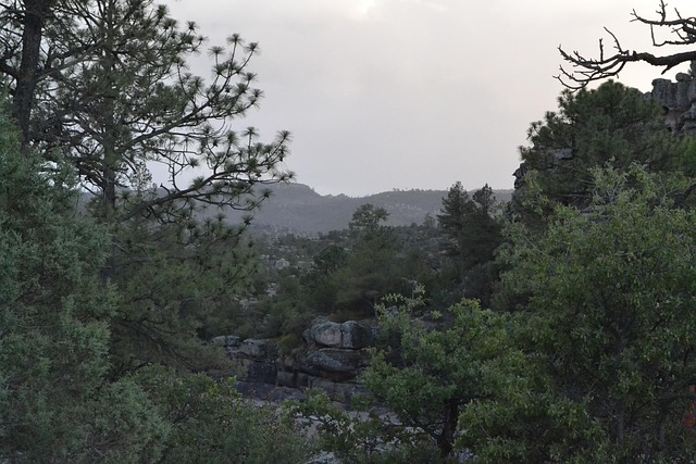 Free Nature Majalca photo and picture