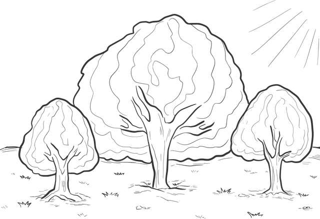Free trees sun gospel vector