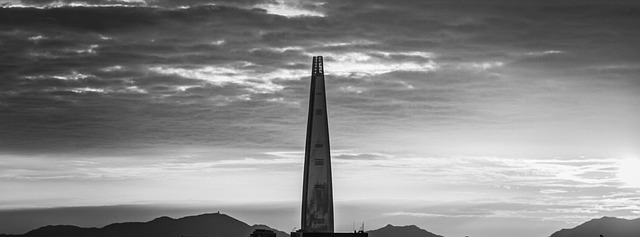 Free Black And White Tint photo and picture