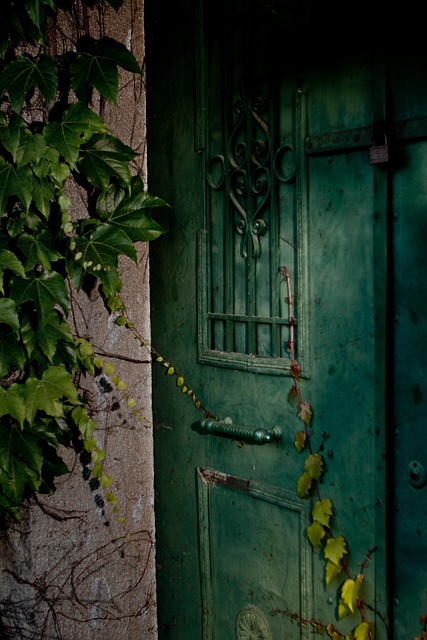 Free Mysterious Doorway photo and picture