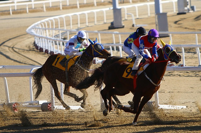 racing, horse racing, equestrian, equine, race, horse race, race track, competition, horse back riding, horse racing, horse racing, horse racing, horse racing, horse racing, horse race, horse race, horse race, horse race, horse race